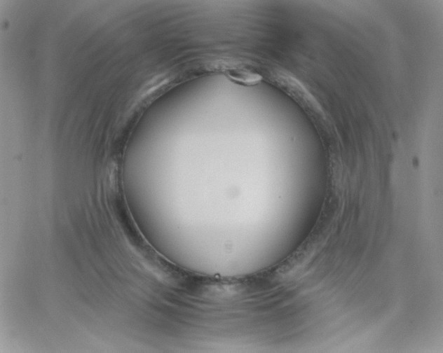 X0000066020071200603241546