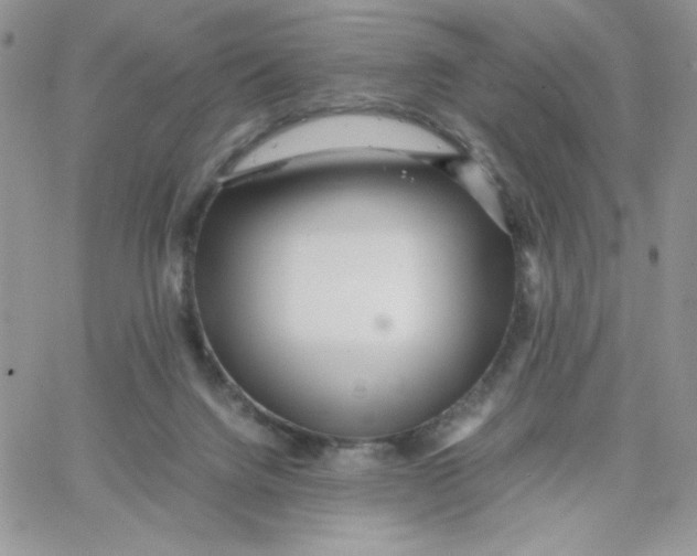 X0000066020072200603241546