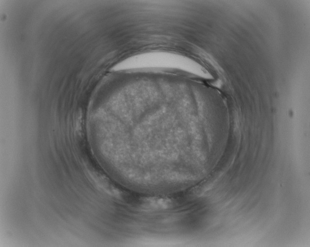 X0000066020073200603241546