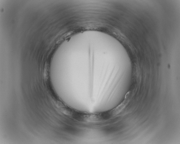 X0000066020074200603241546