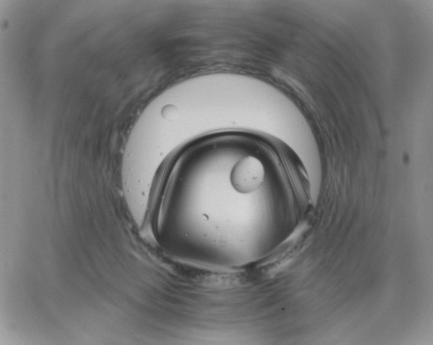 X0000066020077200603241546