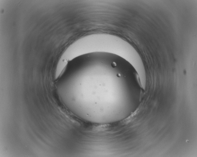 X0000066020078200603241546