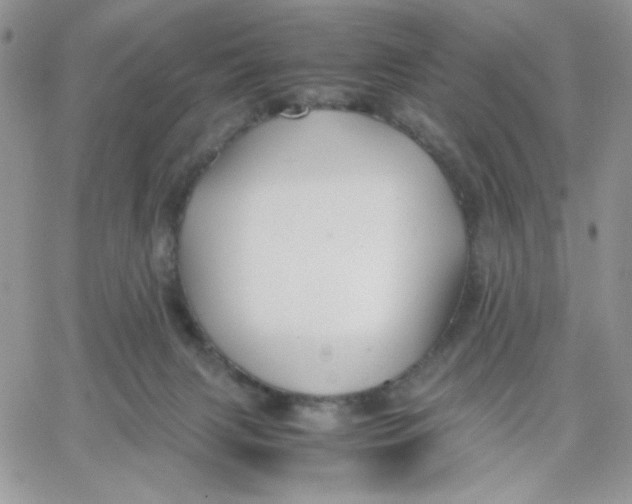 X0000066020079200603241546