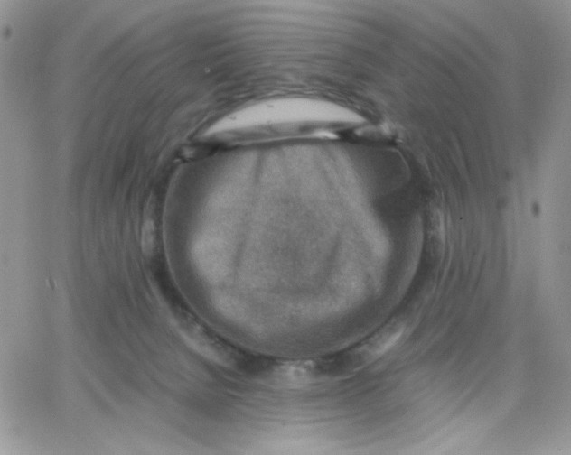 X0000066020080200603241546