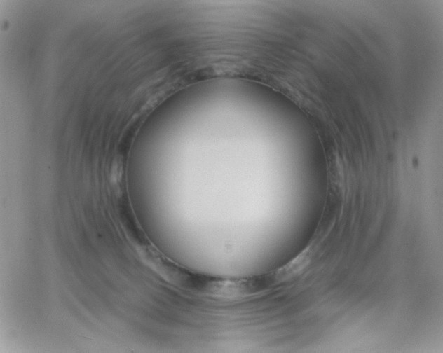 X0000066020082200603241546