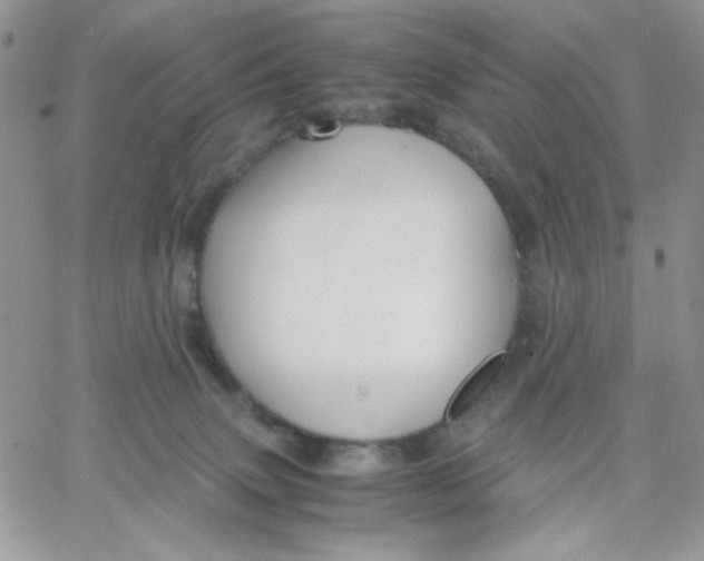 X0000066020083200603241546