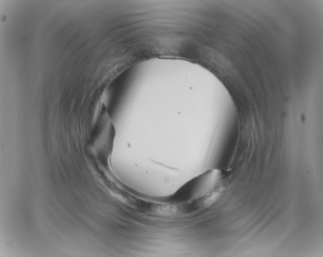 X0000066020084200603241546