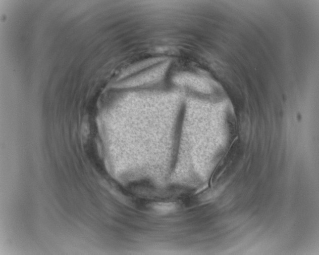 X0000066020085200603241546