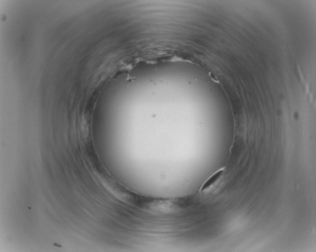 X0000066020086200603241546