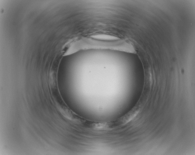 X0000066020088200603241546