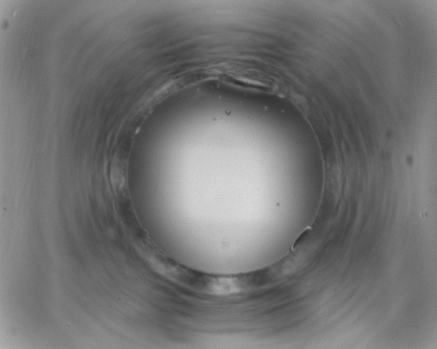 X0000066020091200603241546