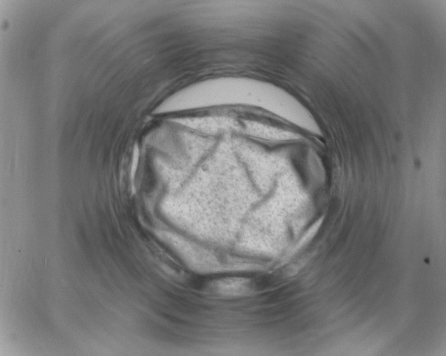 X0000066020093200603241546