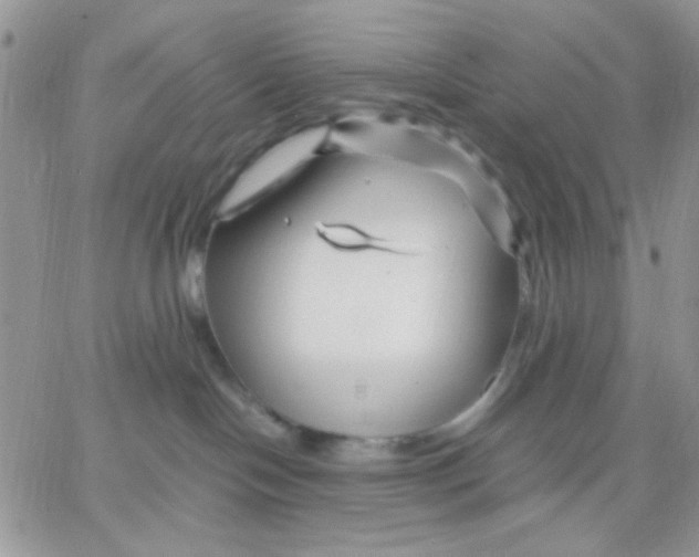 X0000066020094200603241546