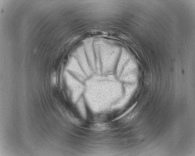 X0000066020095200603241546