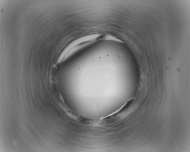 X0000066020096200603241546