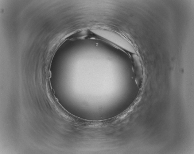 X0000066020097200603241545