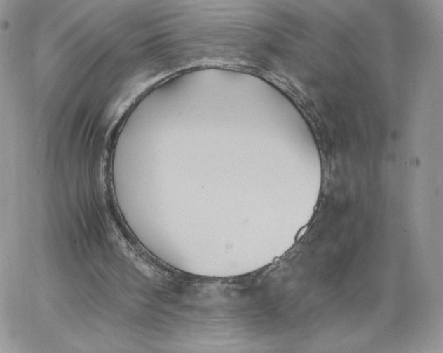 X0000066020098200603241545