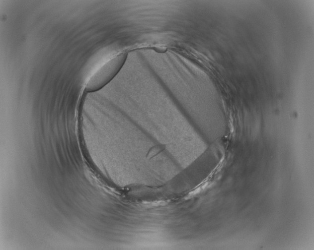 X0000066020100200603241545