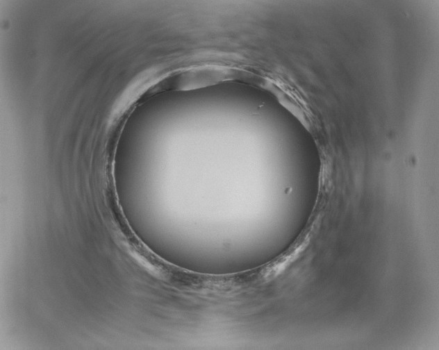 X0000066020101200603241545