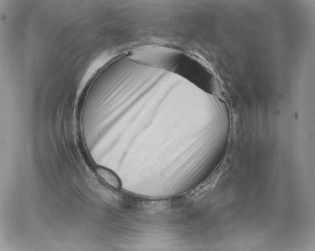 X0000066020102200603241545