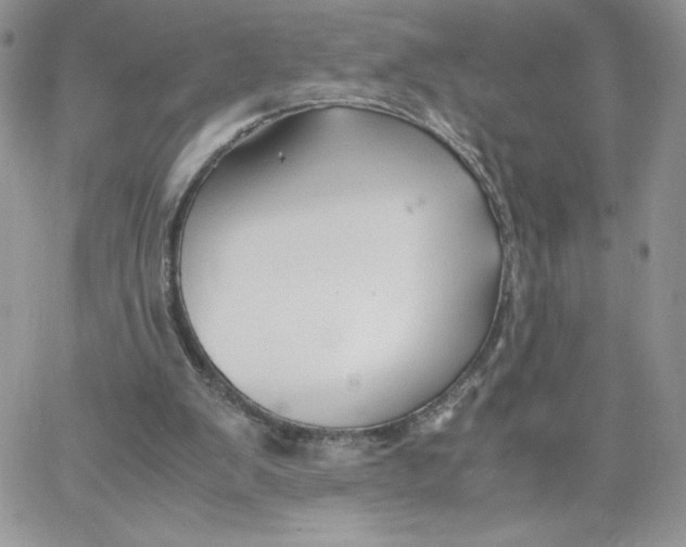 X0000066020103200603241545