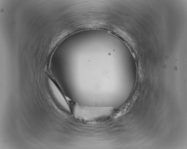 X0000066020105200603241545