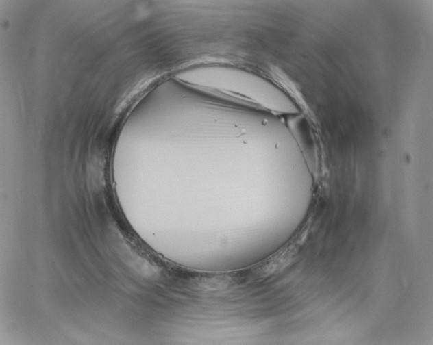 X0000066020106200603241545