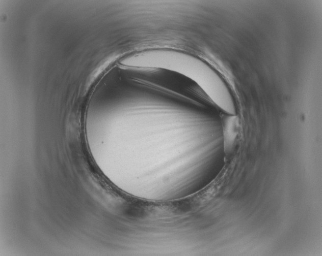 X0000066020107200603241545