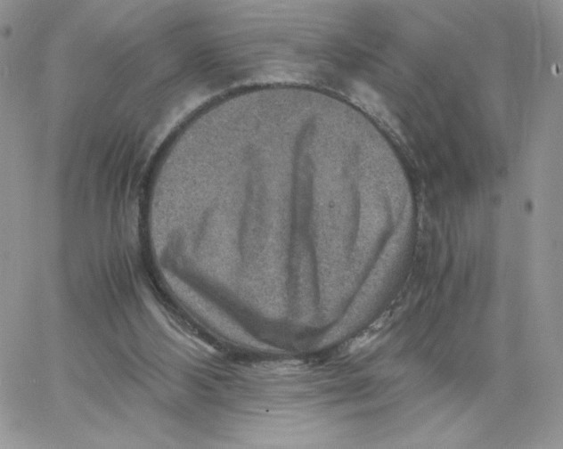 X0000066020108200603241545