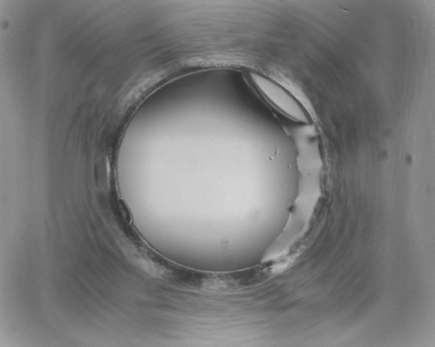 X0000066020109200603241545