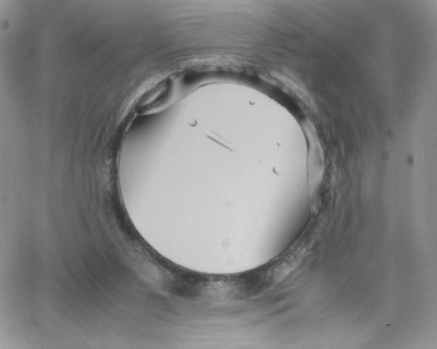 X0000066020111200603241545