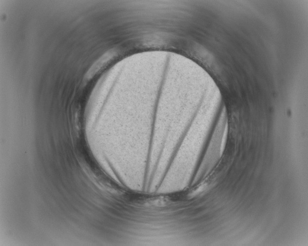 X0000066020116200603241545