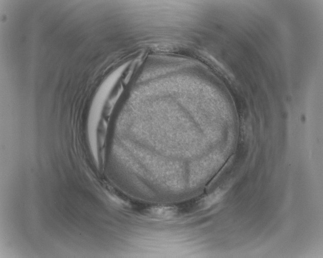 X0000066020117200603241545