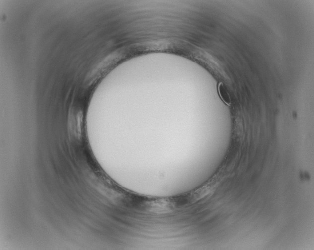 X0000066020118200603241545