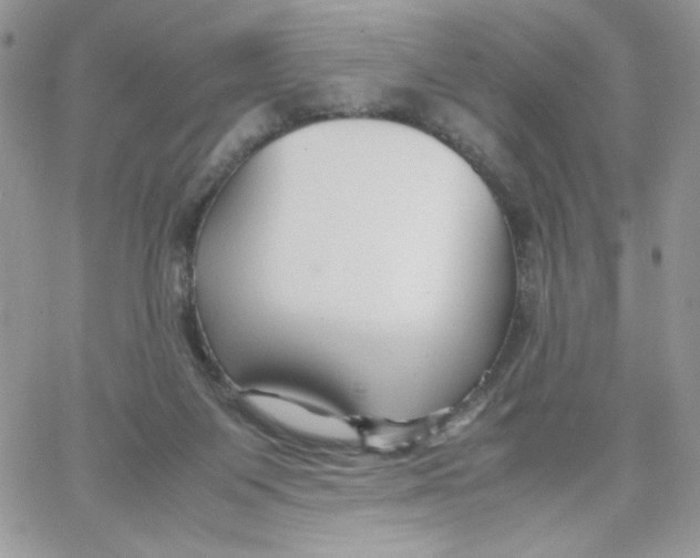 X0000066020119200603241545