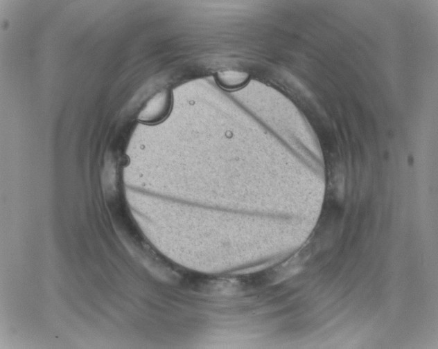 X0000066020124200603241545