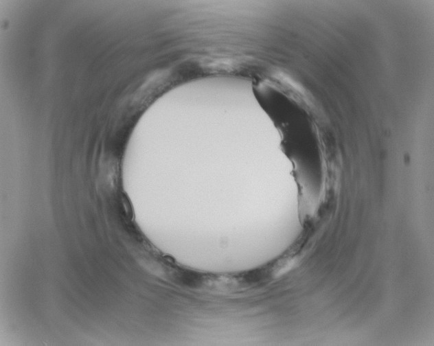 X0000066020125200603241545