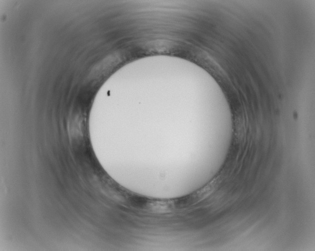 X0000066020126200603241545