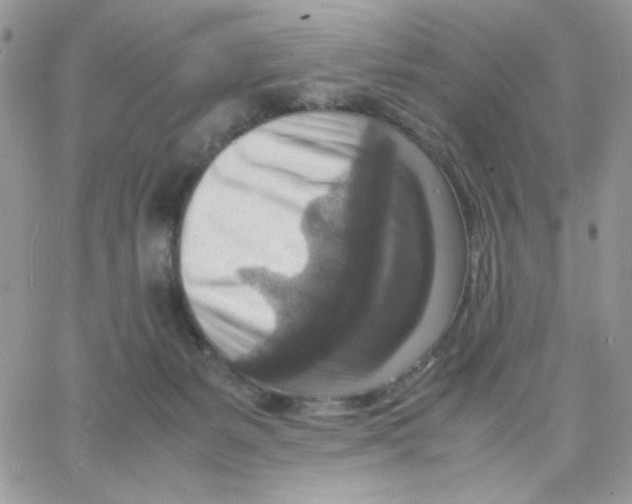 X0000066020127200603241545