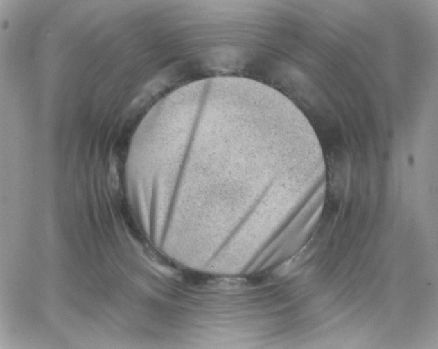 X0000066020128200603241545