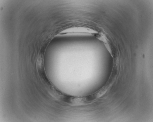 X0000066020129200603241545