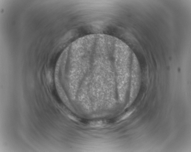 X0000066020131200603241545