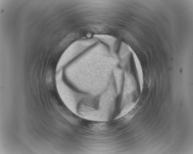 X0000066020132200603241545