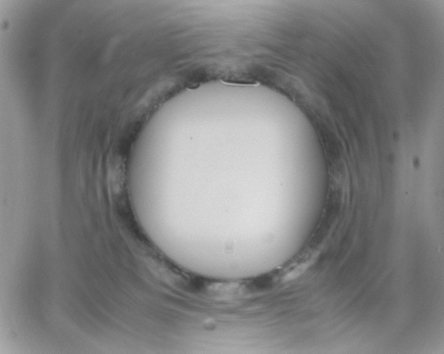 X0000066020133200603241545