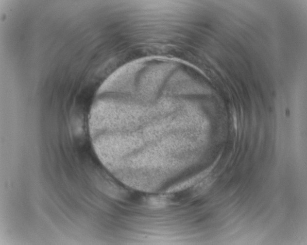 X0000066020134200603241545