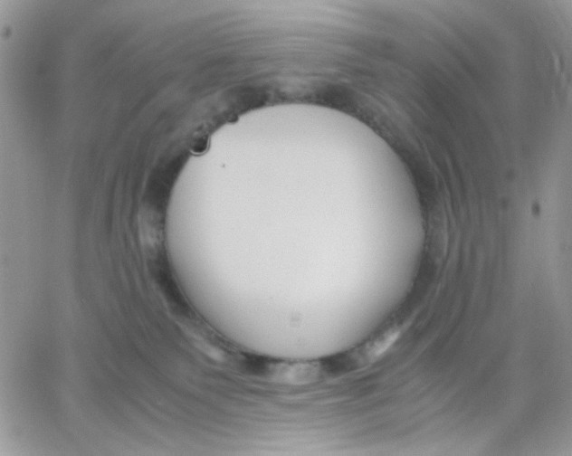 X0000066020135200603241545