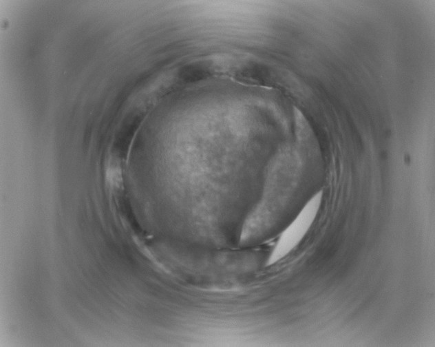 X0000066020137200603241544