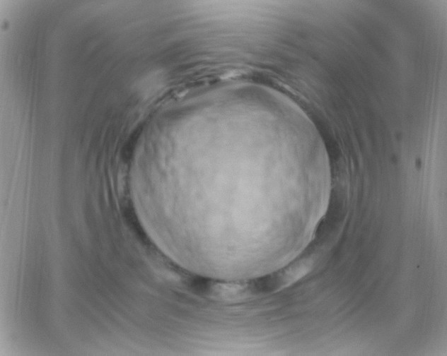 X0000066020139200603241544