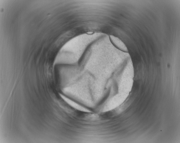 X0000066020140200603241544