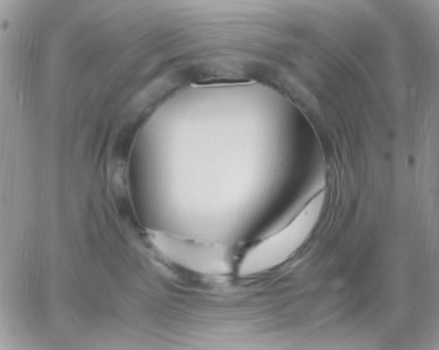 X0000066020141200603241544